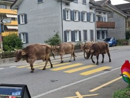 Turnfahrt 2025